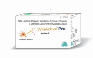 WinActive-Pro - Image 3