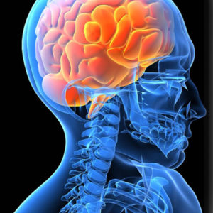 Neuro Range